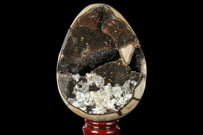 Septarian Dragon Egg Geode - Black Crystals #98884